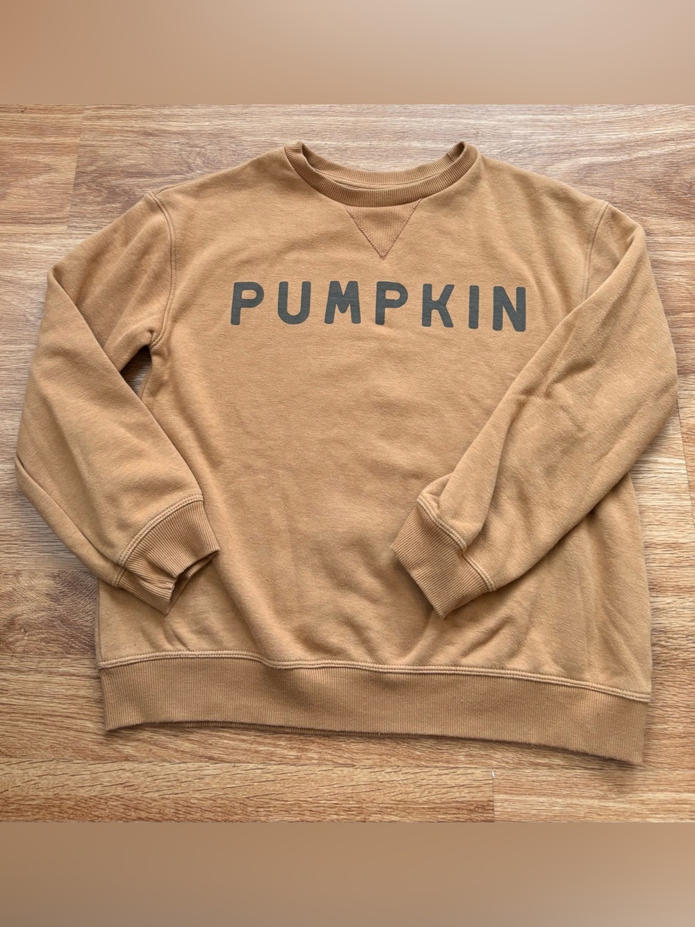 OEKO-Tex Little Co. Pumpkin Graphic Crewneck Sweatshirt